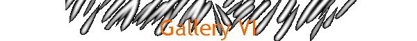 Gallery VI